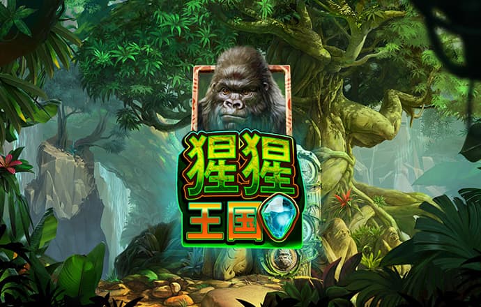 澳门跑狗论坛